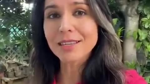 Tulsi Gabbard On Ukraine