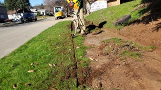 OVERGROWN Sidewalk Edge NEGLECTED For 50 YEARS Gets A FREE Makeover