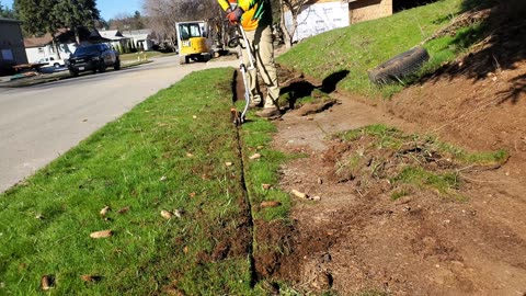 OVERGROWN Sidewalk Edge NEGLECTED For 50 YEARS Gets A FREE Makeover