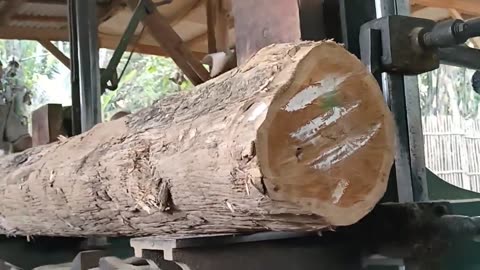 Expensive And Quality of People's Jati Wood In The Saw Machine