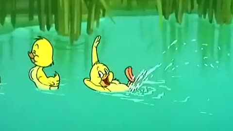 Tom Jerry Kartoon new clips very funny video