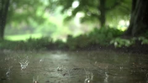 Rain sound - Relaxing morning 🌧️