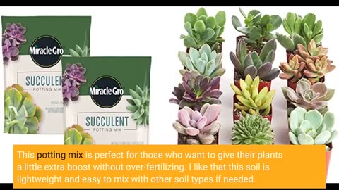 Miracle-Gro Succulent Potting Mix: Fertilized Soil with Premium Nutrition for Indoor Cactus Plants