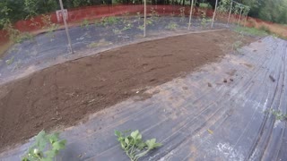 Tilling for a fall garden