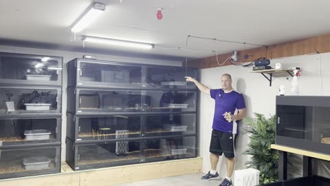 Reptile room build, considerations and cost