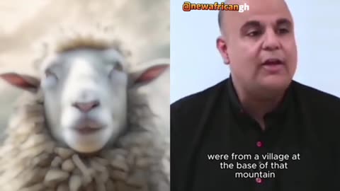 450 sheep committed suicide in 2005 must watch