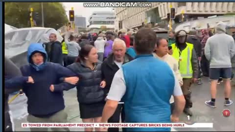 Protestors punched, tear gassed, tents removed as NZ Police SHUT DOWN protest camp
