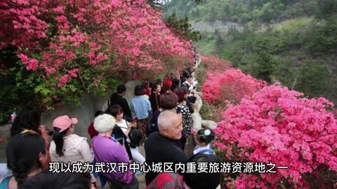 Introduction to Shandong Mada Lake Scenic Area