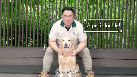 Basic Pet Care_ Dogs