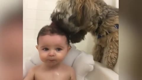 Dog Gives Baby A Bath