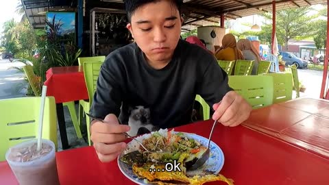 Even a CAT falls in love with “Heaven” Malaysian Food