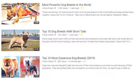 10 Most Powerful Dogs in the World