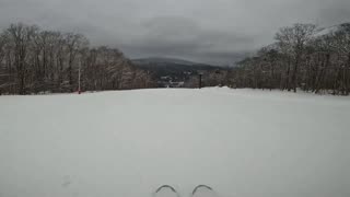 Bretton Woods