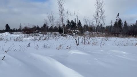 Snow Blower in the Range