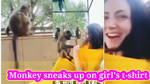 Monkey sneaks up on girl's t-shirt. Funny video Monkey. Cute baby monkey. #monkey.
