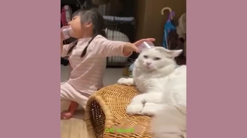 Funny cat