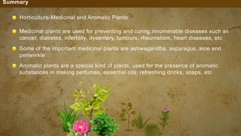 Horticulture Medicinal and Aromatic Plants