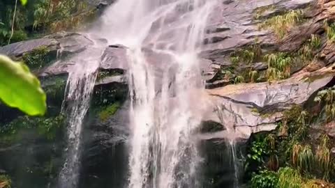 Waterfall TaunayIn Tijuca Forest。In BraZil!