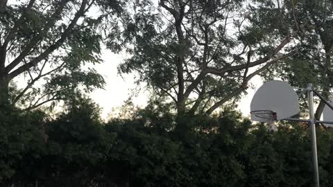 Kid Kicks a Soccer Ball into a Basketball Hoop