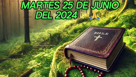 🙏✨Evangelio de HOY Martes 25 de Junio del 2024 ✨🙏