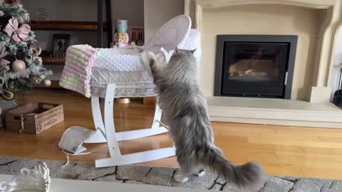 Curious Dog And Cat Bond With Newborn Baby! He Rocks Him To Sleep! (Cutest Ever!!)