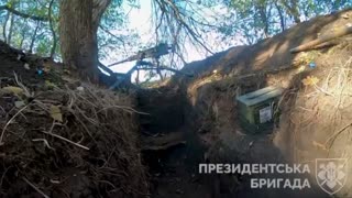 Footage of trench fighting in the Donbass | Military Mind