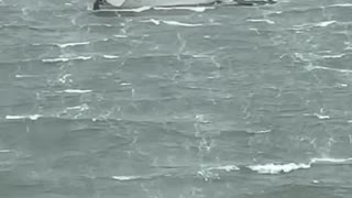 Strong Winds Cause Sailboat to Break Away
