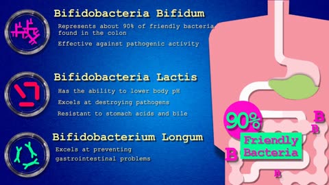 Common Probiotic strain ; Beneficial bacteria and Immune health