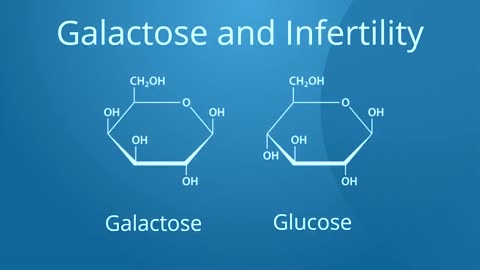 Galactose and infertility