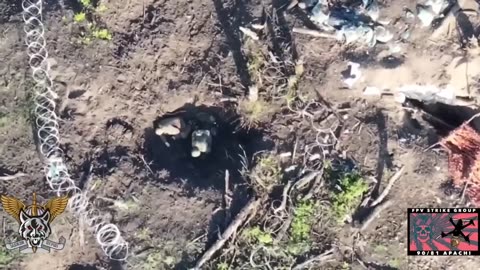 Ukrainian Soldiers Toss Grenades into Russian Foxhole from Meters Away