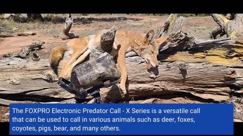 Customer Comments: FOXPRO Electronic Predator Call - X Series - Coyote Call - Fox Call - Hog Ca...