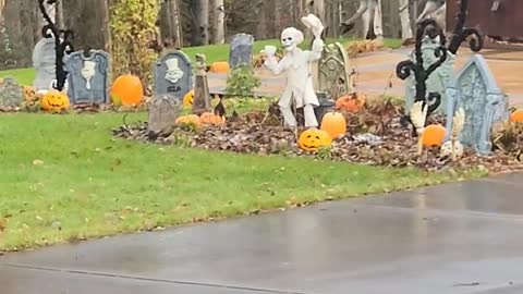 Scaredy Moose Run From Halloween Decorations