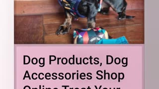 Treat Your Dog - Dog Treats, Toys & Accessories