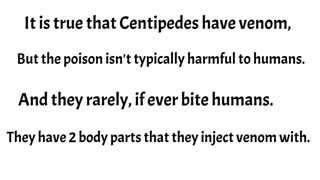 Are centipedes Poisonous? 😃Learn the truth in this 1 minute Summary!- 😃 #shorts