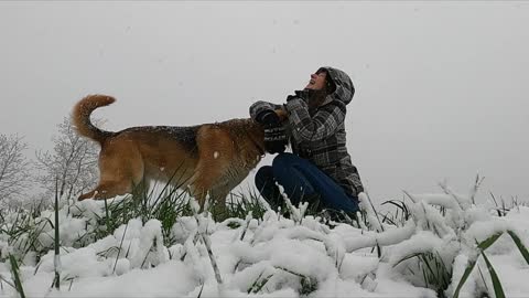 A Woman Playing With Her Dog Outside In A Snowy Day