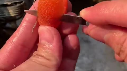 Farm Fresh Ninja Fruit Cutting