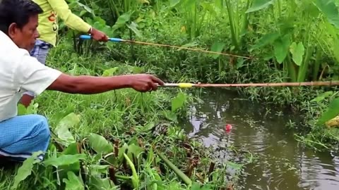 Hook fishing I Fishing ✅️||Big fish are being caught in village canal with hook and small fish bait