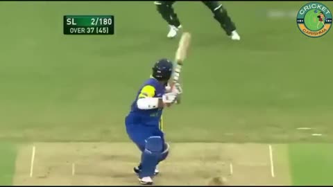 Top 15 Funny 😂 Moments in Cricket Ever || Funny Cricket videos 2024
