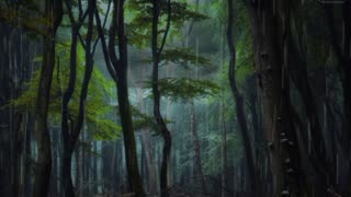 🌳 Forest ambience rainfall rain 🌧