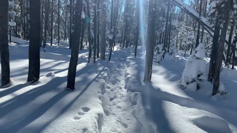 Start the Snowshoeing Season with Swampy Lakes Sno-Park – Central Oregon