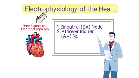 What is an Electrocardiogram? (EKG/ECG) *SIMPLE Explanation*