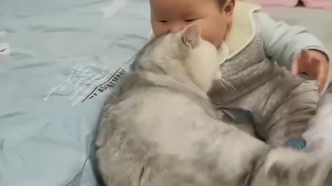 Cute cat want to sleep on the ved of cute baby 😘 💕 when he is sleeping on bed