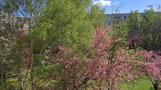 Spring in berlin