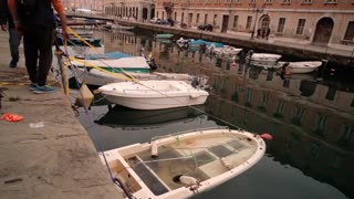 ROSE DEL PARCO DI SAN GIOVANNI