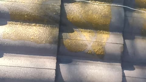 How to pressure wash roof