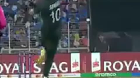 Rohit Sharma smashes pakistan bowlers #india #pakistan