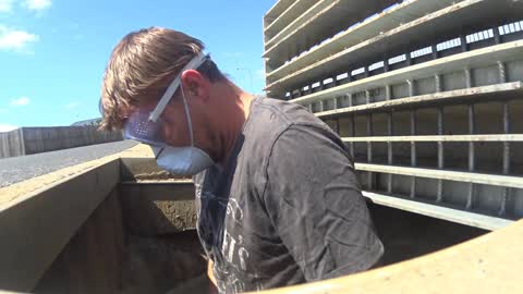 Mama Cat and Her Kittens Rescued from Storm Water Drain