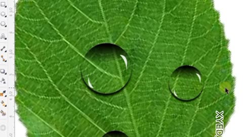 How to make water drops on leaves in Corel Draw ||making water drops on leaves in Corel Draw