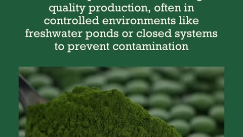 Production and Cultivation: Chlorella