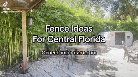 Alternative Fence Ideas For Florida Backyards - Ocoee Banboo Farm 407-777-4807